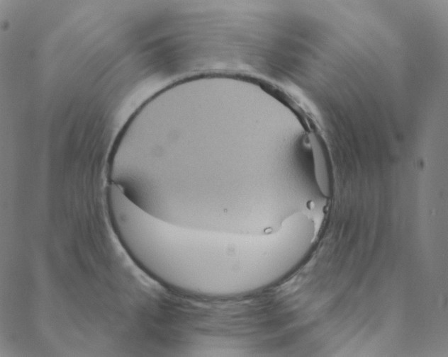 X0000088391287200706191323