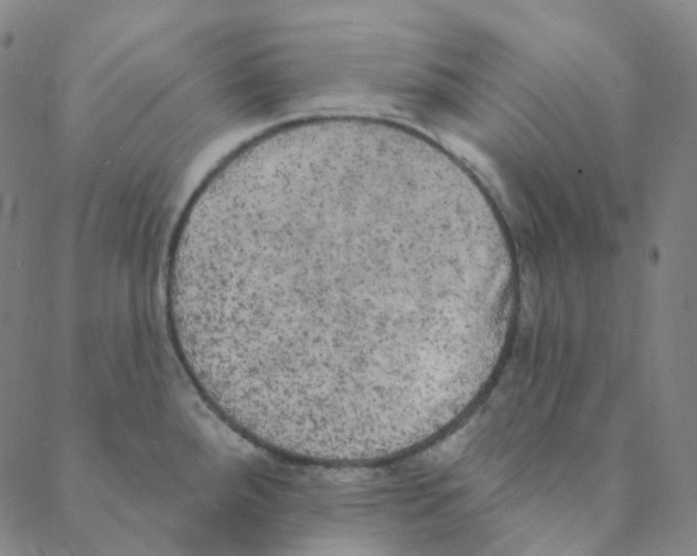 X0000088391288200706191323