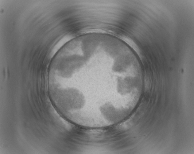 X0000088391290200706191323