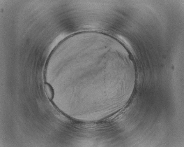 X0000088391291200706191323