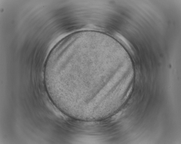 X0000088391292200706191323