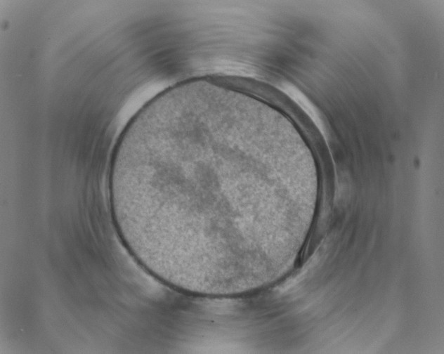 X0000088391293200706191323