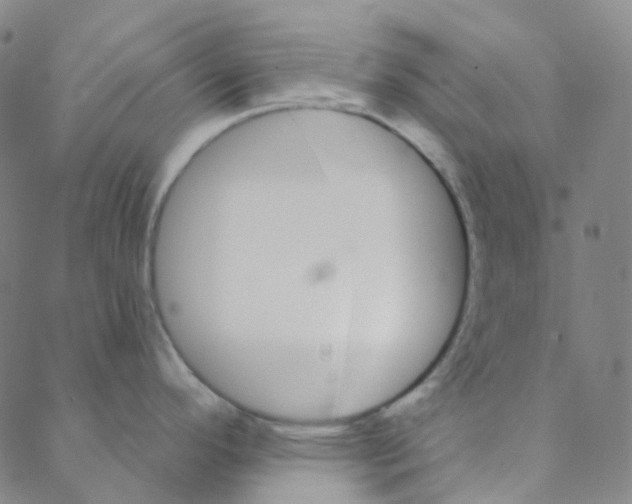 X0000088391296200706191323