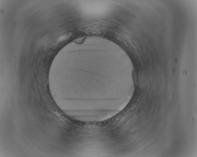 X0000088391297200706191322