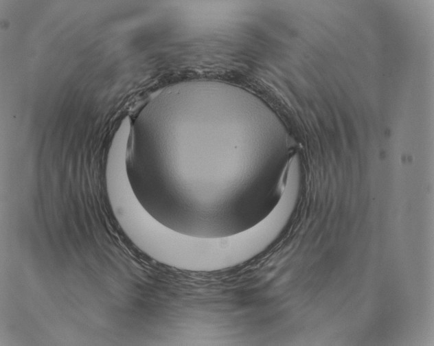 X0000088391298200706191322