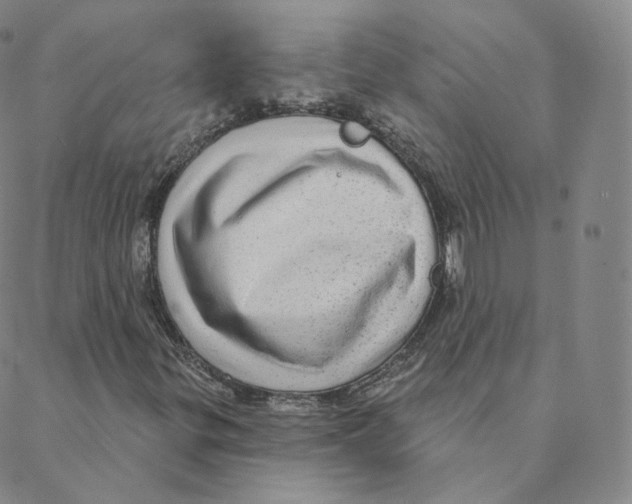 X0000088391299200706191322