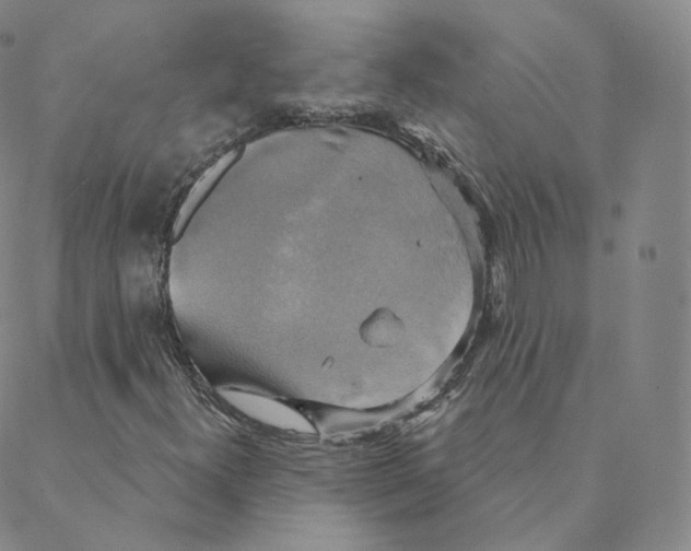 X0000088391300200706191322