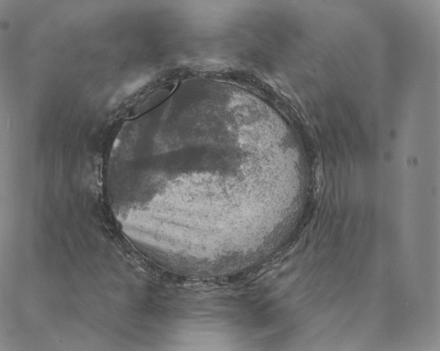 X0000088391301200706191322