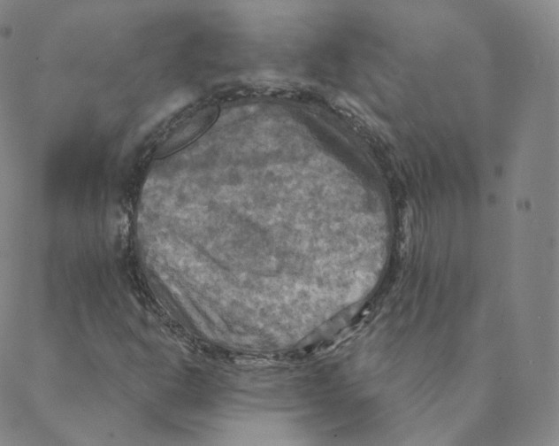 X0000088391302200706191323