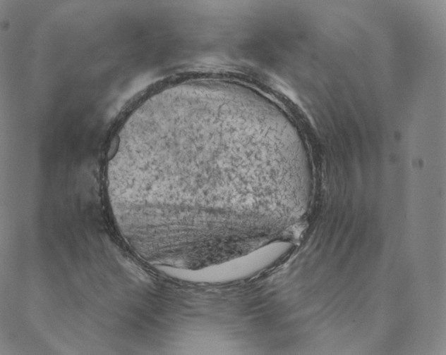 X0000088391304200706191323