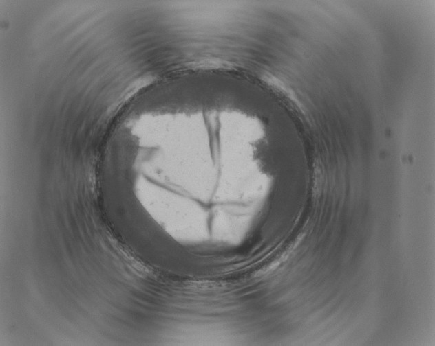 X0000088391305200706191323