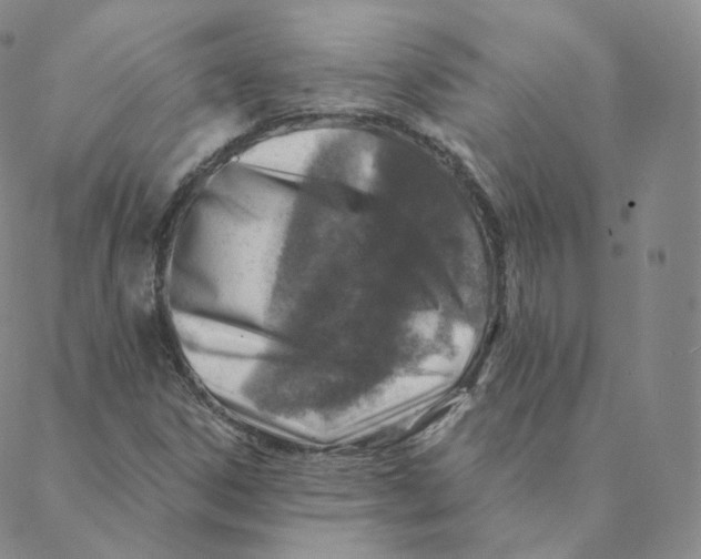 X0000088391306200706191323