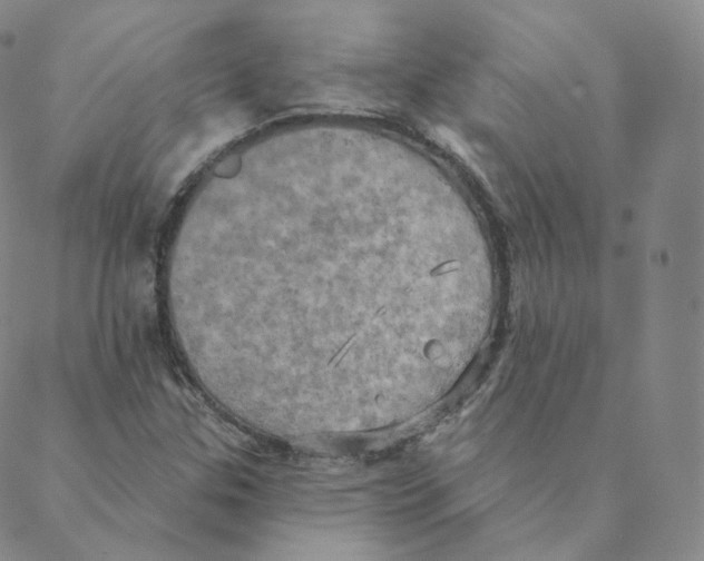 X0000088391307200706191323