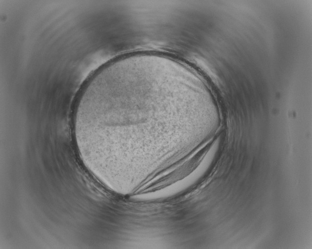 X0000088391308200706191323