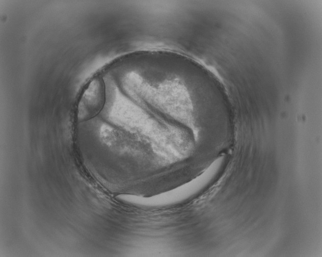 X0000088391311200706191323