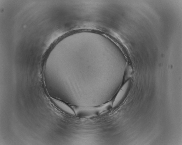 X0000088391312200706191323