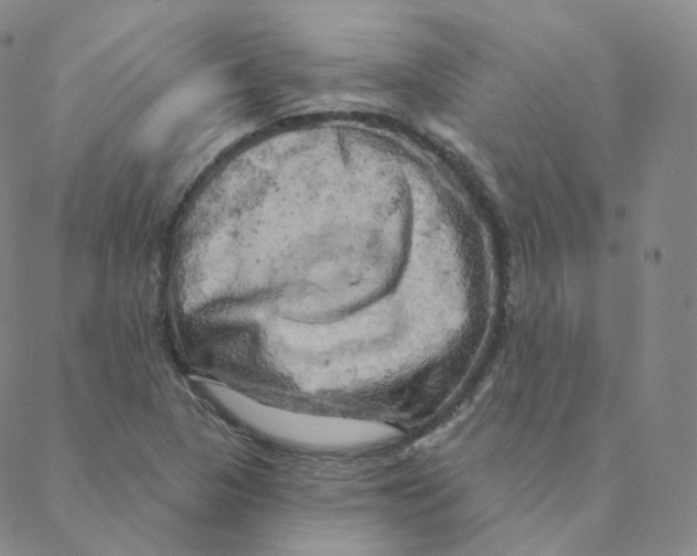 X0000088391313200706191323