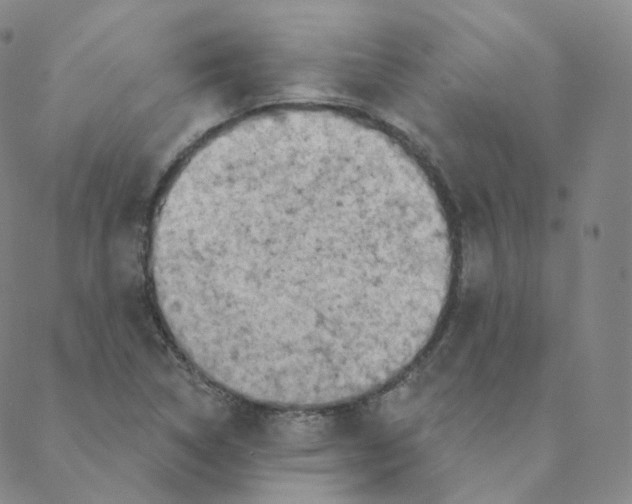 X0000088391314200706191323