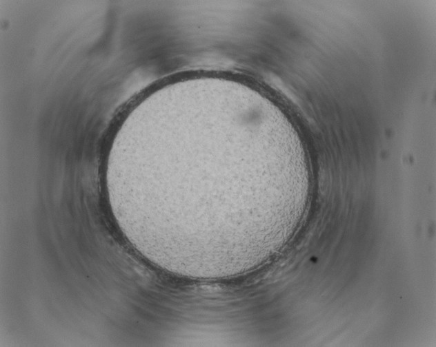 X0000088391315200706191323