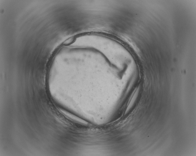 X0000088391316200706191323