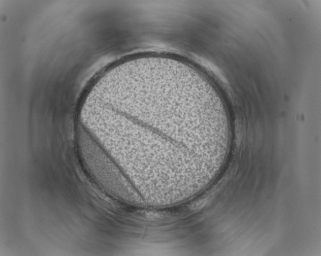 X0000088391318200706191323