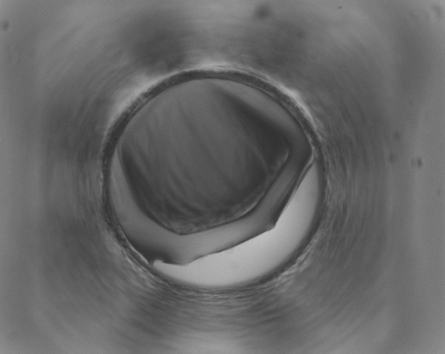 X0000088391319200706191323