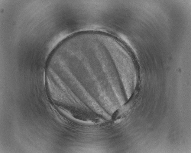 X0000088391320200706191323