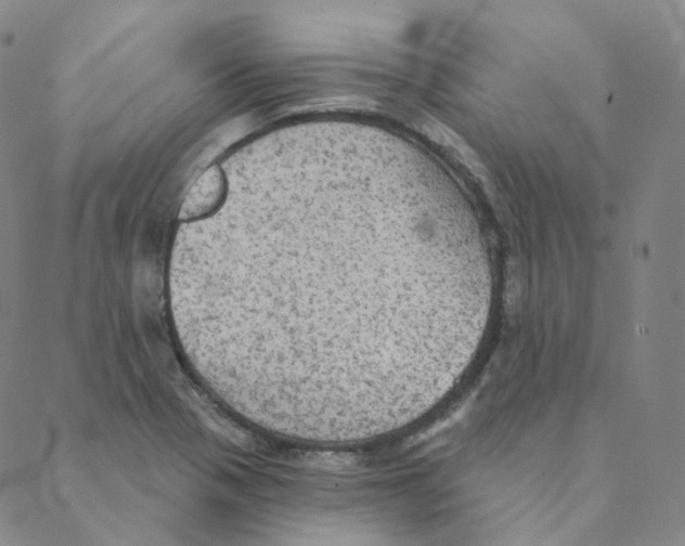 X0000088391321200706191323