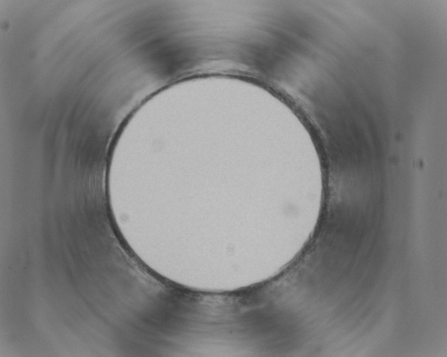 X0000088391322200706191323