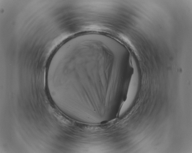 X0000088391323200706191323