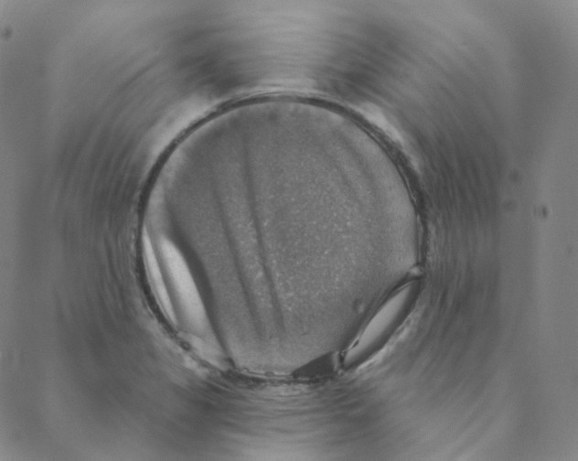 X0000088391325200706191323