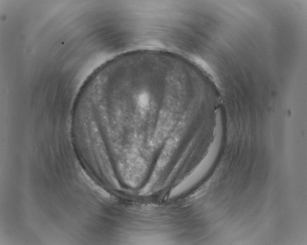 X0000088391326200706191323