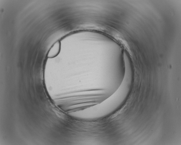 X0000088391328200706191323