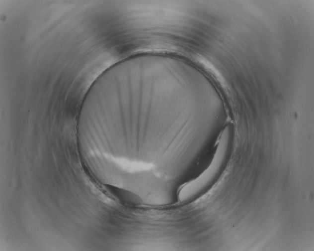 X0000088391329200706191323