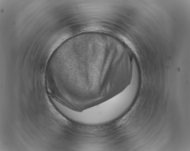 X0000088391330200706191323