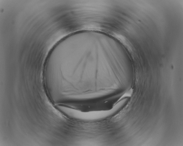 X0000088391331200706191323