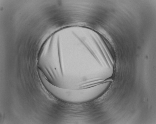 X0000088391332200706191323