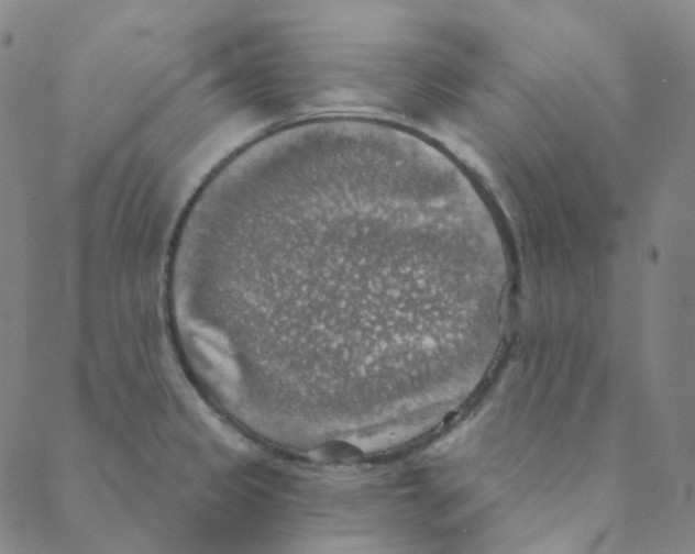 X0000088391333200706191323