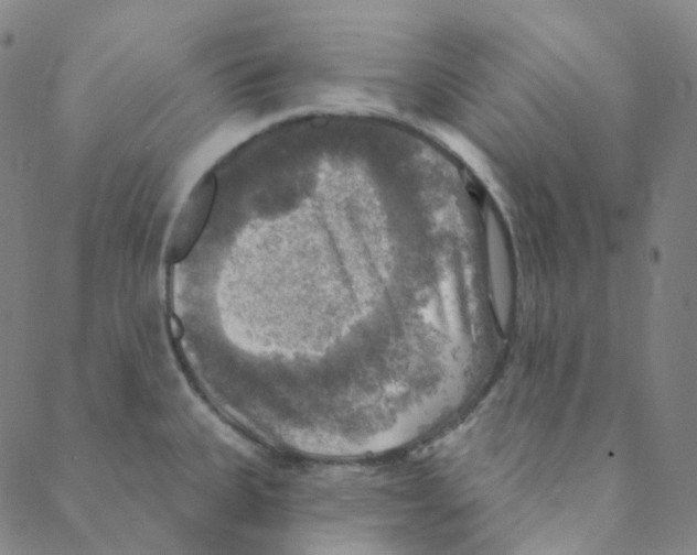 X0000088391335200706191323