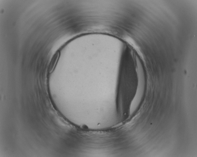 X0000088391336200706191323