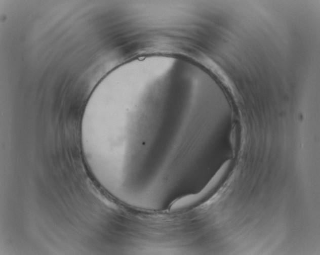 X0000088391337200706191323