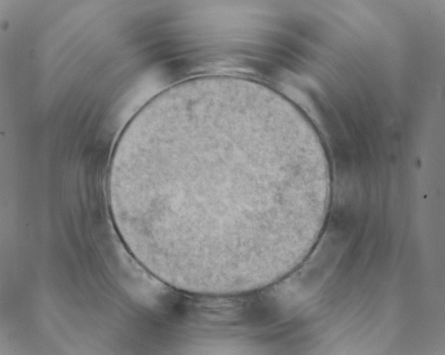 X0000088391338200706191323