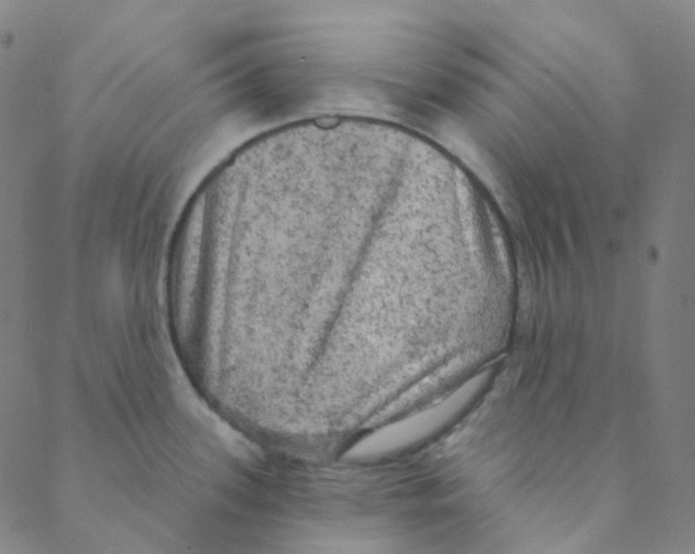 X0000088391339200706191323