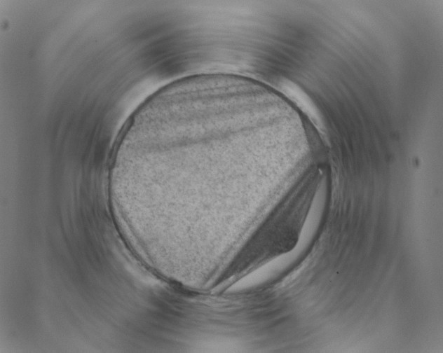 X0000088391340200706191323