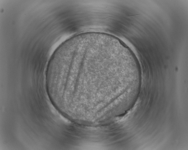 X0000088391341200706191323