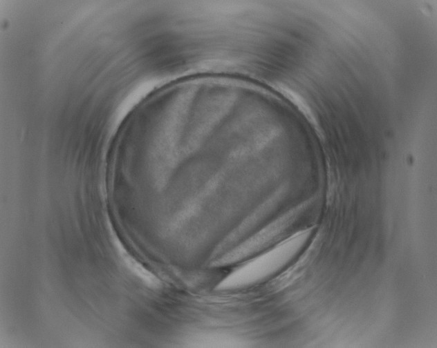 X0000088391342200706191323