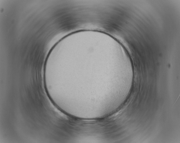 X0000088391343200706191323