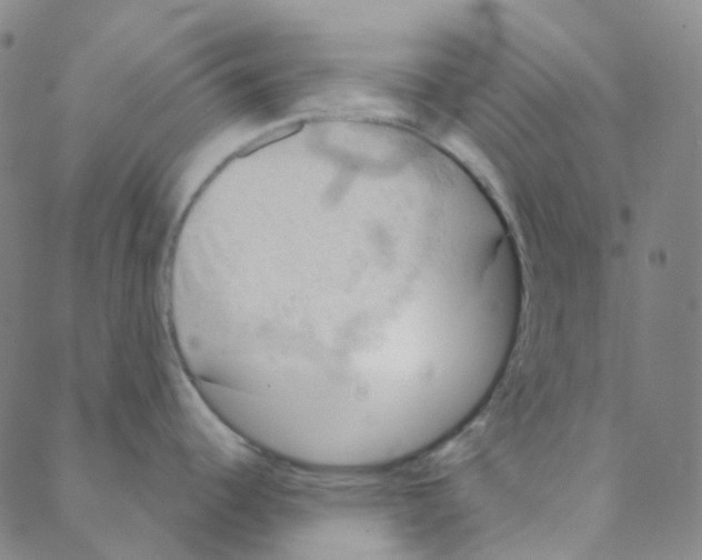 X0000088391344200706191323