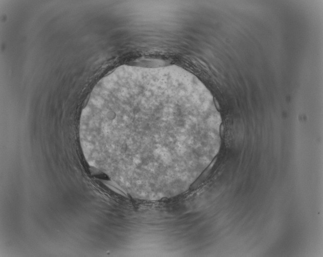 X0000088391345200706191322