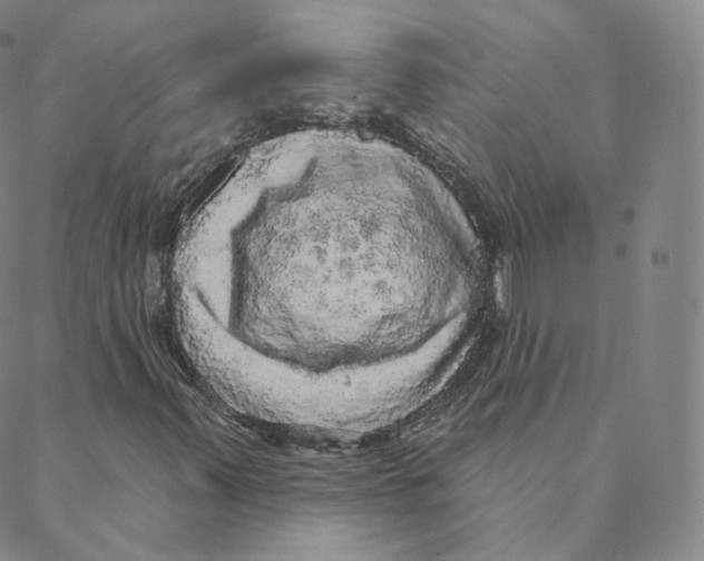 X0000088391347200706191322